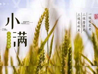 520，給您“滿”心誠意